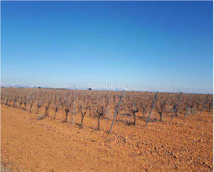Foto 68e834d7-13b0-4ca1-80d5-0c0669f1e5e3. Finca rústica terreno en venta en Valdevimbre