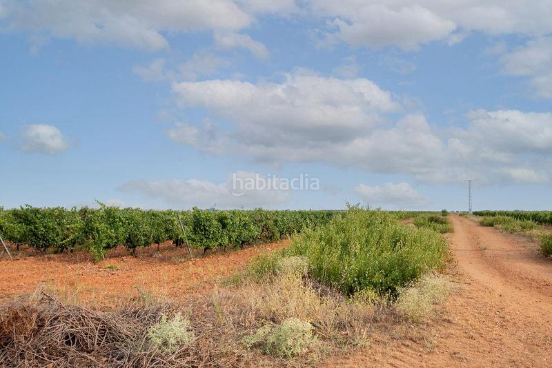 Foto 6915bcba-f6dd-4a53-8b35-77e8b4d14177. Finca rústica terreno en venta en Valdevimbre
