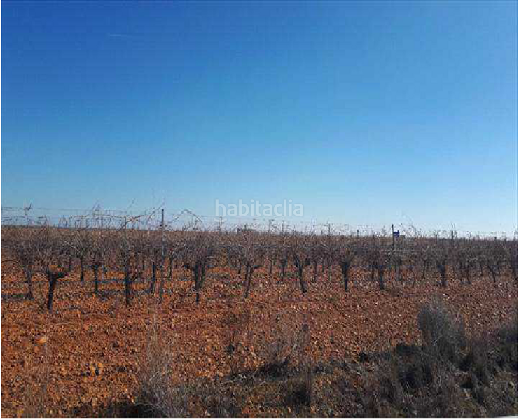 Foto b6c9558f-1f3a-47f1-83c2-6d2f7ed6f07b. Finca rústica terreno en venta en Valdevimbre