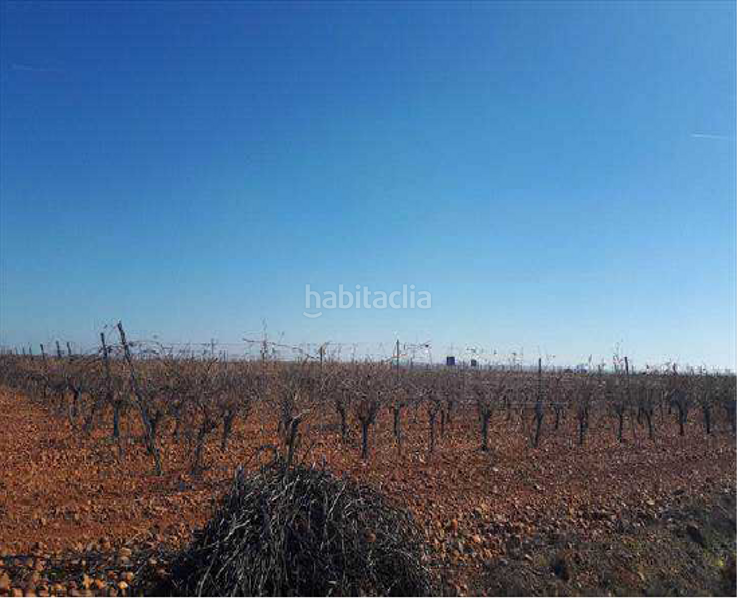 Foto c5018992-2715-4c3e-b391-4482ab93de16. Finca rústica terreno en venta en Valdevimbre
