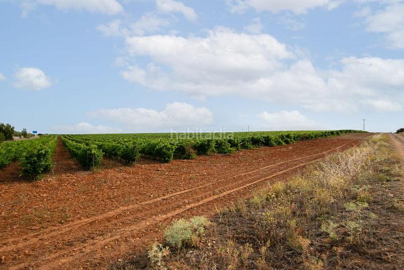 Foto d0659369-d992-4b10-8ee4-317546bf9bf3. Finca rústica terreno en venta en Valdevimbre