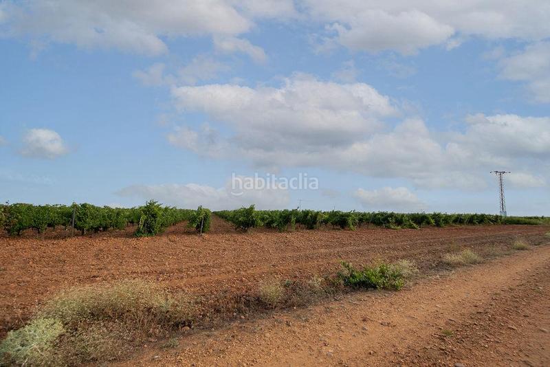 Foto d25d95f5-65a5-4acc-8672-74ee8f6270c7. Finca rústica terreno en venta en Valdevimbre