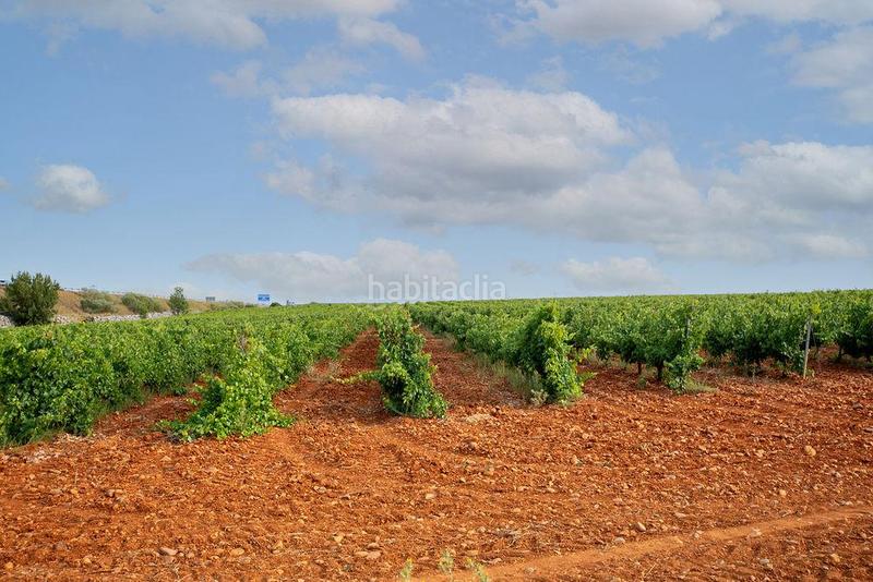 Foto d266d6e4-c64a-4d1d-8a72-6f23daa03275. Finca rústica terreno en venta en Valdevimbre