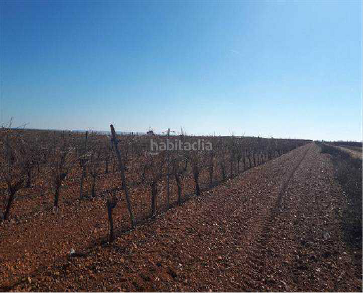 Foto d5b711db-c272-488b-a7c2-0a855938843d. Finca rústica terreno en venta en Valdevimbre