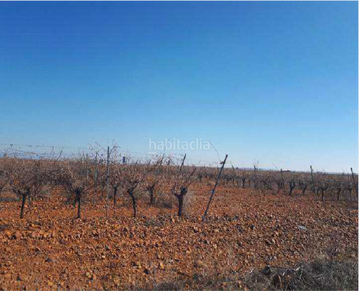 Foto ea97ed88-b34f-44d3-90a7-89362c688bc2. Finca rústica terreno en venta en Valdevimbre
