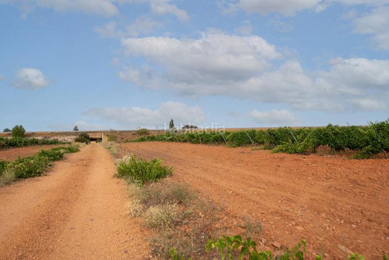 Foto fbfec7c7-4b6b-4d19-90d3-a0c2f9269367. Finca rústica terreno en venta en Valdevimbre
