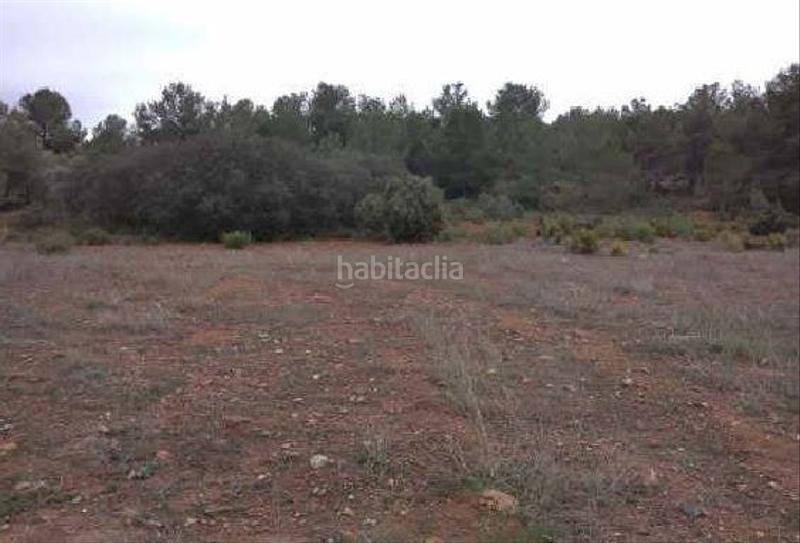 Foto 5d67bf4b-0ae3-49c2-aa71-87fe11c7c730. Finca rústica en la sima s/n terreno en venta en Algímia de Alfara