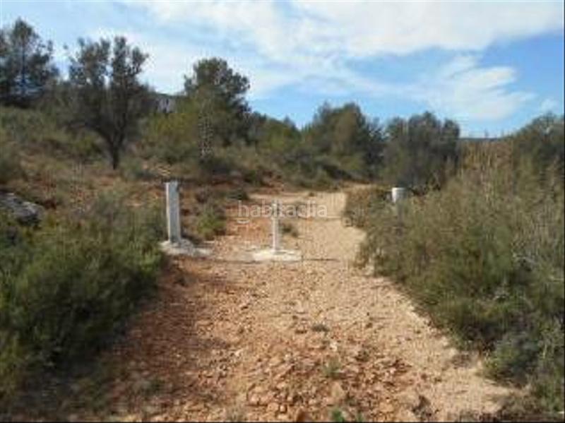 Foto e44091a2-4317-42cc-ba1a-21cc6accd0d7. Finca rústica en la sima s/n terreno en venta en Algímia de Alfara