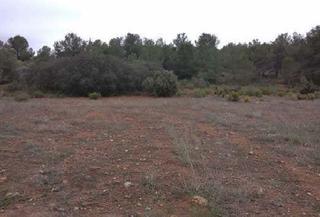 Finca rústica a La sima s/n. Terreno en venta