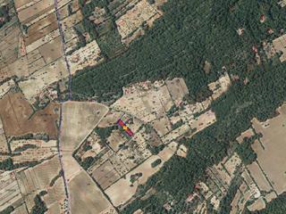 Finca rústica a Diseminado san roig 1025t. Terreno en venta