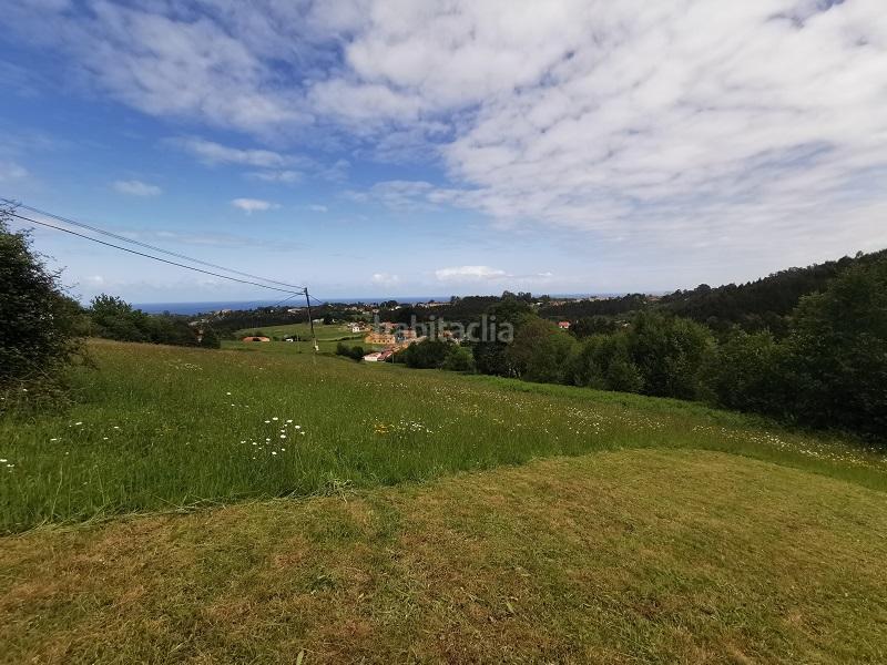 Foto 0006d0d5-3f66-4c70-9966-ddab51cf3a83. Finca rústica en terrona poligon 60 terreno en venta en Cudillero
