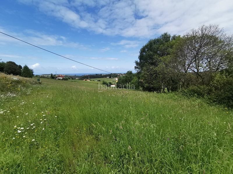Foto 13a822f7-11c7-4188-a997-bfa2cf852c23. Finca rústica en terrona poligon 60 terreno en venta en Cudillero
