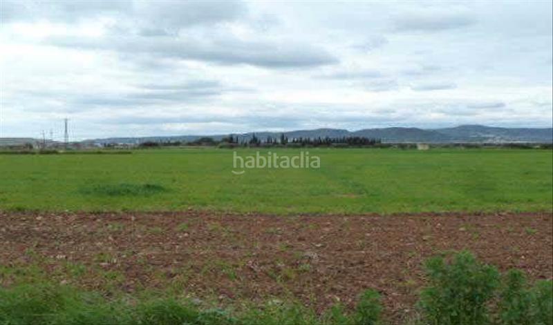 Foto 5caead24-9bce-4936-9960-4eb0935d8b93. Terreny residencial a Bellvei