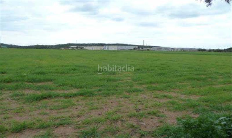 Foto b3c70f16-a634-4878-90a6-5492ed910faa. Terreny residencial a Bellvei