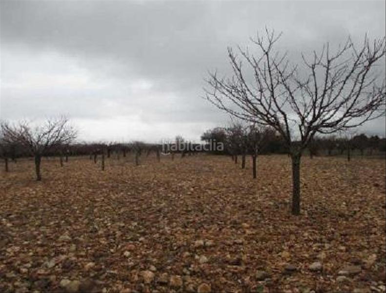 Foto 7ee7cedb-e013-4f03-a7db-c27f38a63ae1. Finca rústica terreno en venta en Covarrubias