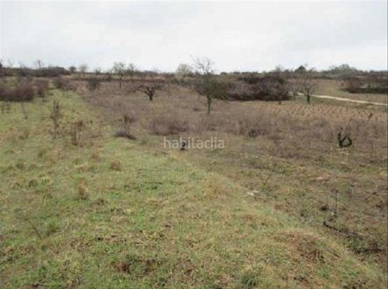 Foto 11168a76-20b4-4671-aaed-0c90c1adb1ba. Finca rústica terreno en venta en Covarrubias