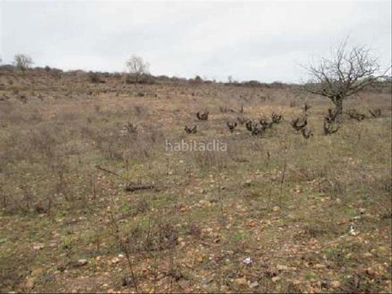 Foto 2c21ec92-ebe7-433b-9876-0342296d13d7. Finca rústica terreno en venta en Covarrubias