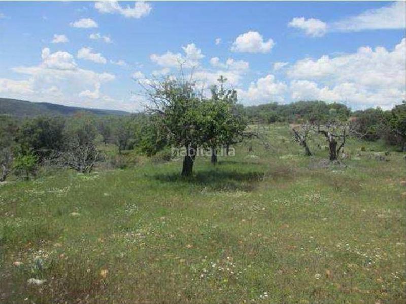 Foto 8c40f53a-4be8-4ec3-b34c-27a255ca3ea6. Finca rústica terreno en venta en Covarrubias
