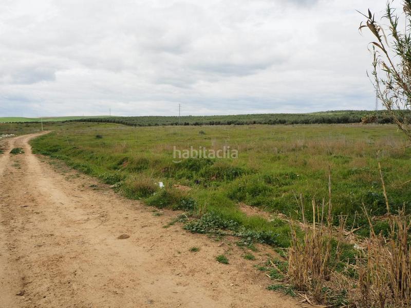 Foto a8399364-f667-4b36-958c-be3fc9062b65. Fondo rustico in Las Pajanosas Guillena