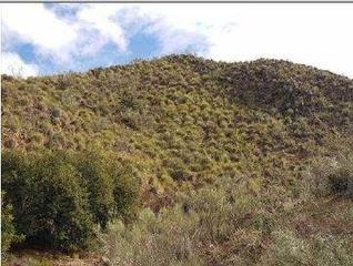 Propriété  Chacon pol.14. Terreno en venta