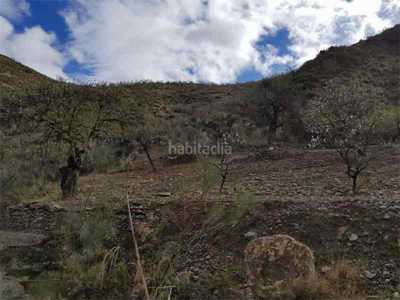 Foto 81c8d6ea-ca8a-4319-87cb-df9203269d38. Finca rústica a Albánchez