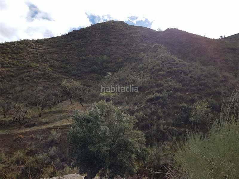 Foto afefe820-9eb6-4134-a892-3b566cf0c585. Finca rústica a Albánchez