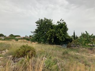 Residential Plot in Cardenal benlloch 8. Terreno en venta