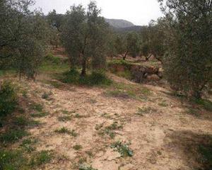 Finca rústica  De la cañada honda. polígono 14. Terreno en venta