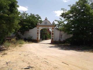 Finca rústica a Pago el perotonar, poligono 16 s/n. Terreno en venta