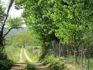 Terreny residencial a Sau, subsector 2 parcela 10. finca cuadris s/n. Terreno en venta