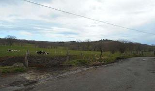 Finca rústica  Finca canton poligono 39. Terreno en venta