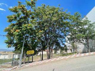 Terreny residencial a Ejido de san sebastian 7. Terreno en venta