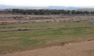 Finca rústica a Poligono 25-charosa s/n. Terreno en venta