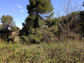 Terreny residencial a Cierer 30. Terreno en venta