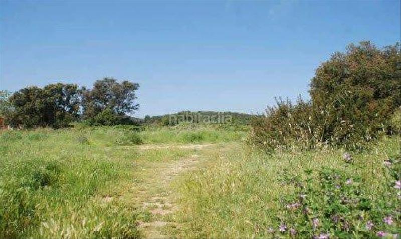 Foto 01f10726-6ae2-44b0-8ad7-3f3d1f0c3c02. Residential plot in coll de la morena sn in Molí de Vent-La Sauleda Palafrugell