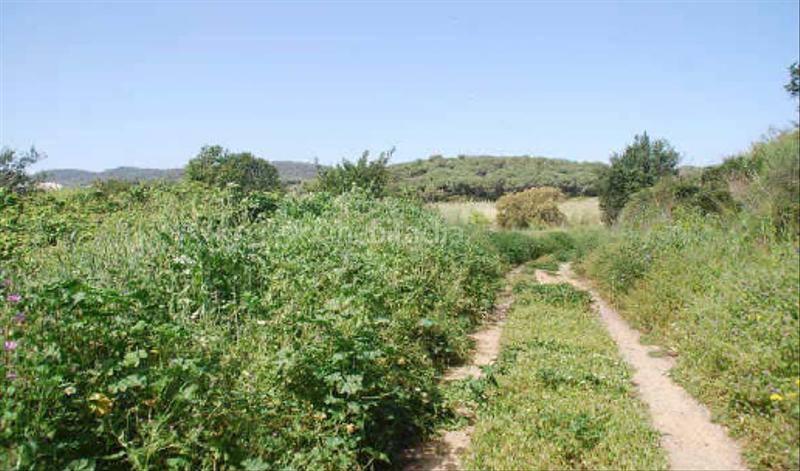 Foto e8c0580d-1457-4670-9811-5469d2b93952. Residential plot in coll de la morena sn in Molí de Vent-La Sauleda Palafrugell