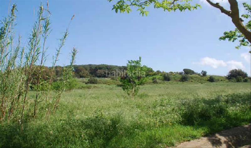 Foto f18246af-40ce-45b9-b9a3-aa86bc343108. Residential plot in coll de la morena sn in Molí de Vent-La Sauleda Palafrugell