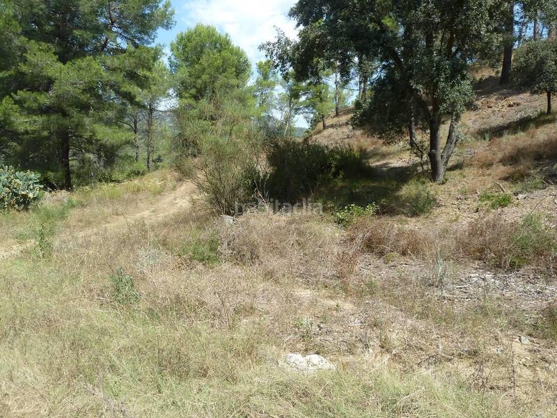 Foto 43c063e0-334e-4e42-b631-4373587def7c. Wohngrundstück in vallesa 190 in Riudecanyes