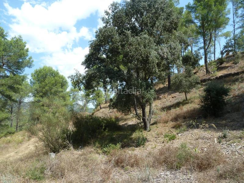 Foto e978d7bf-0bad-4695-8f88-7c60bae40e44. Wohngrundstück in vallesa 190 in Riudecanyes