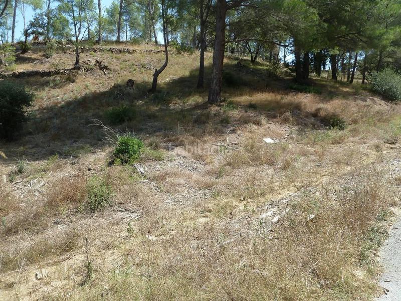 Foto f6c8396f-9ad6-4a87-96b5-c8c948e2565b. Wohngrundstück in vallesa 190 in Riudecanyes