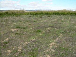 Finca rústica a Partida bosch s/n. Terreno en venta