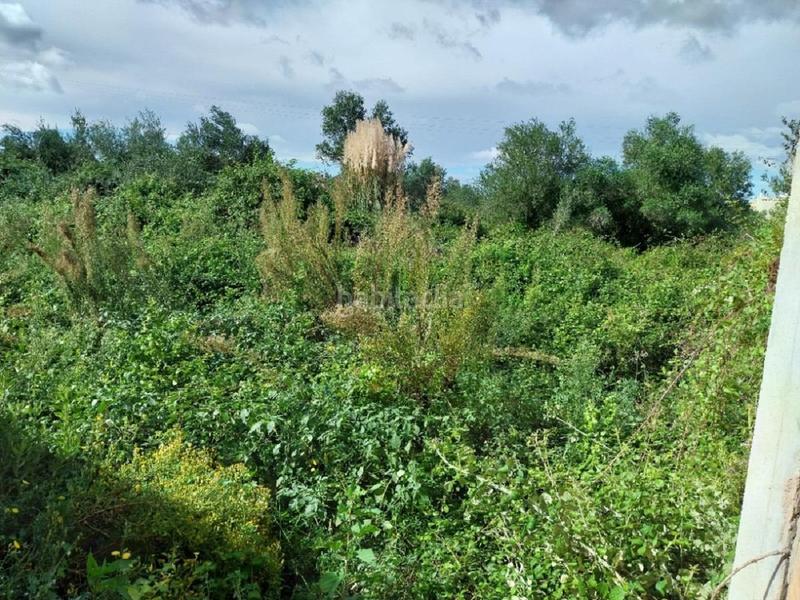 Foto 54296255-54ce-4f05-8d2a-0689dfaf5cd4. Wohngrundstück in la torre suelo 38 in Sueca Sueca