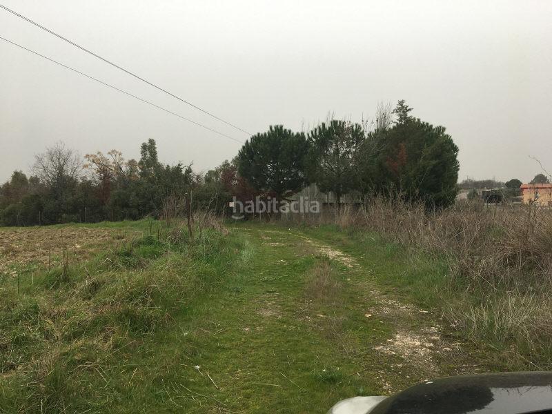 Foto 0029732d-57b3-490b-bdd2-094cc8cb825a. Terreny residencial a las alforjillas poligon 9 s/n a Casar de Escalona (El)