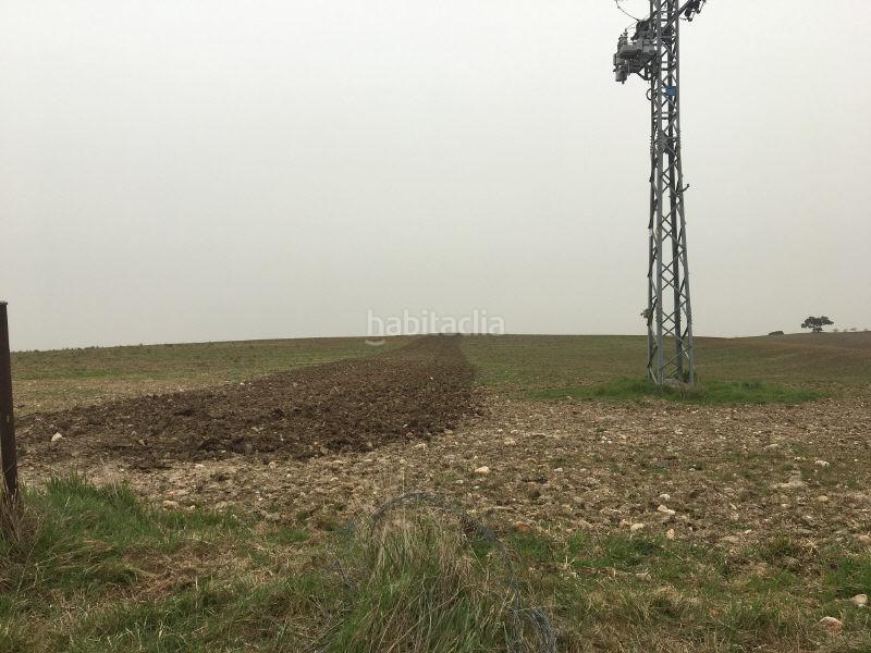 Foto 37d0ba0a-125f-45d0-ba27-a164a3118070. Terreny residencial a las alforjillas poligon 9 s/n a Casar de Escalona (El)