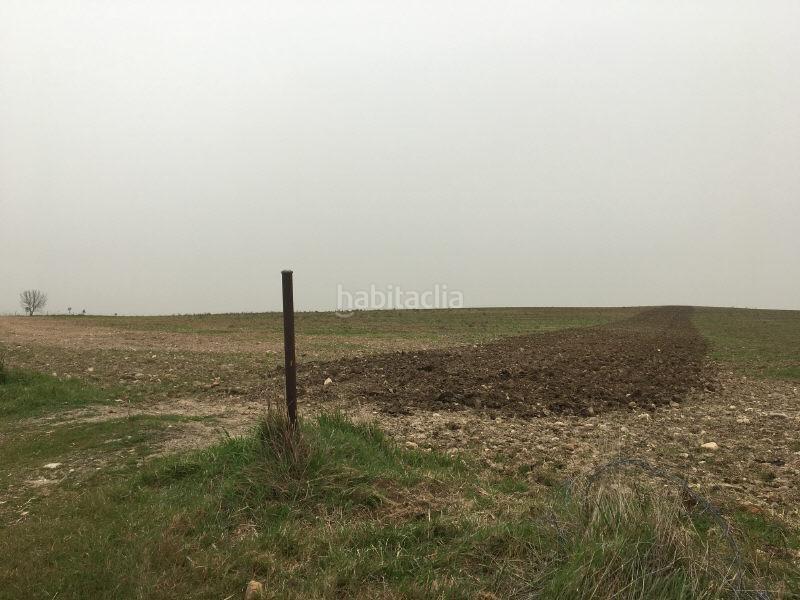 Foto 38398d28-2111-4732-bae4-f9ee765137a5. Terreny residencial a las alforjillas poligon 9 s/n a Casar de Escalona (El)