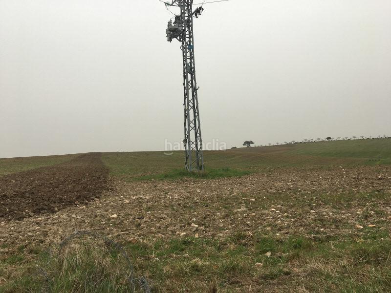 Foto 39774f9d-a767-48e2-8b0a-60947c737e88. Terreny residencial a las alforjillas poligon 9 s/n a Casar de Escalona (El)