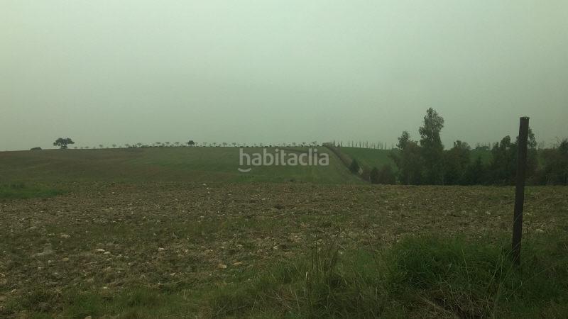 Foto 56475fa0-cc11-40bd-a992-c48b501c368c. Terreny residencial a las alforjillas poligon 9 s/n a Casar de Escalona (El)