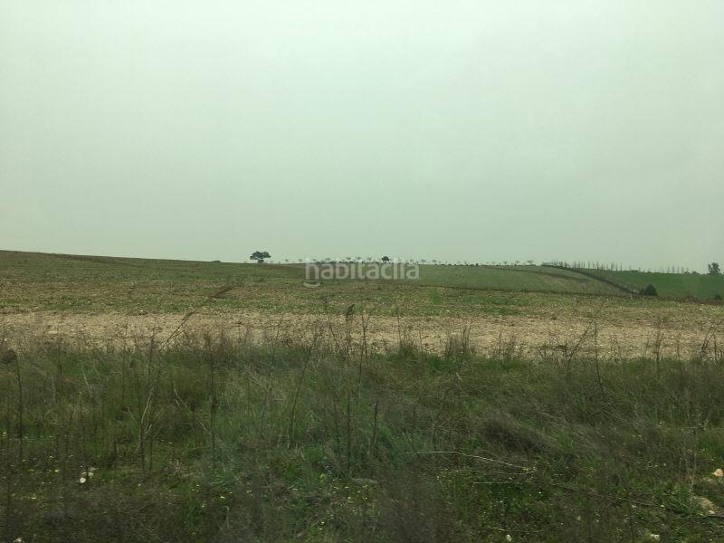 Foto 59596823-471a-4a01-8e2c-f894ec34be2f. Terreny residencial a las alforjillas poligon 9 s/n a Casar de Escalona (El)