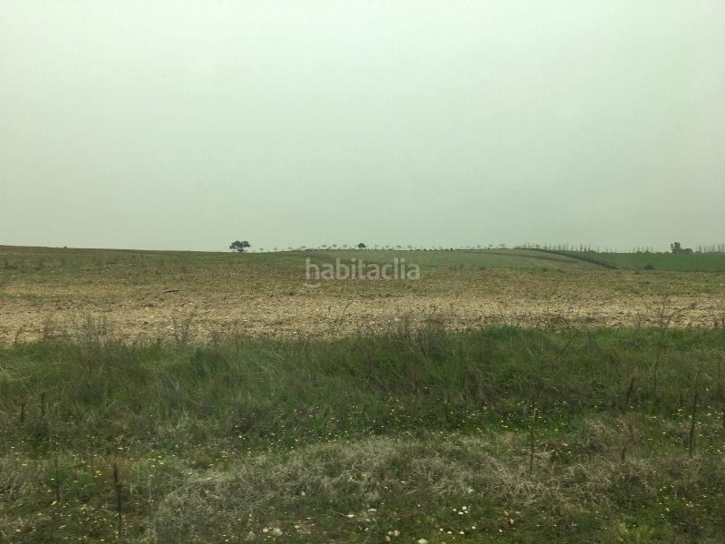 Foto 7457c7ab-5e8b-49d9-b493-a58f148d663c. Terreny residencial a las alforjillas poligon 9 s/n a Casar de Escalona (El)