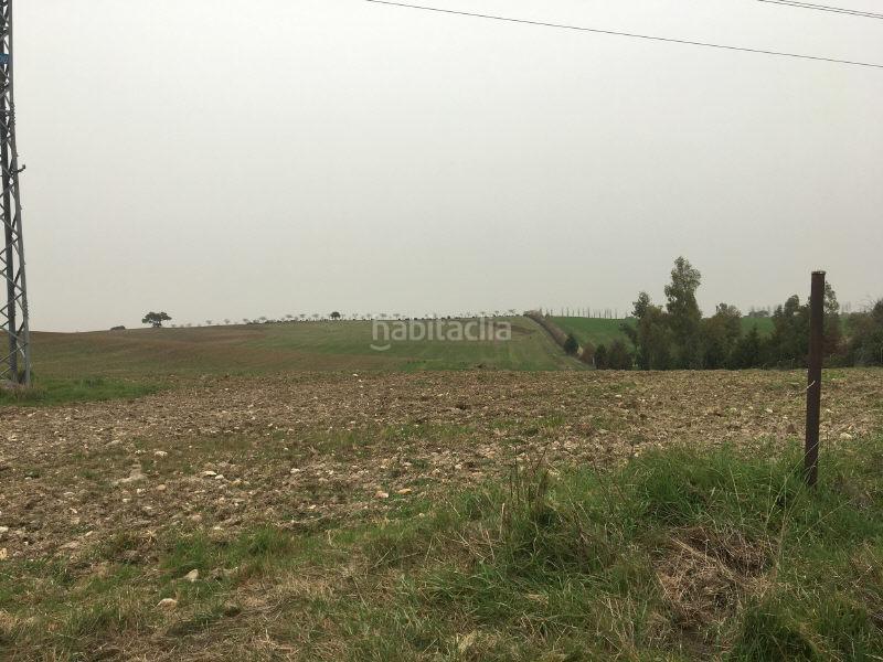 Foto b4c50bc3-9d99-4b55-a100-965afe583e08. Terreny residencial a las alforjillas poligon 9 s/n a Casar de Escalona (El)